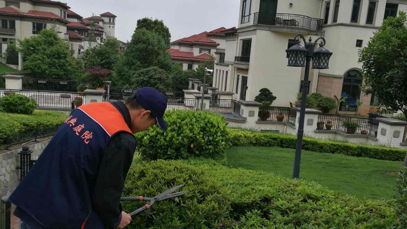 山地种苗，先读懂山