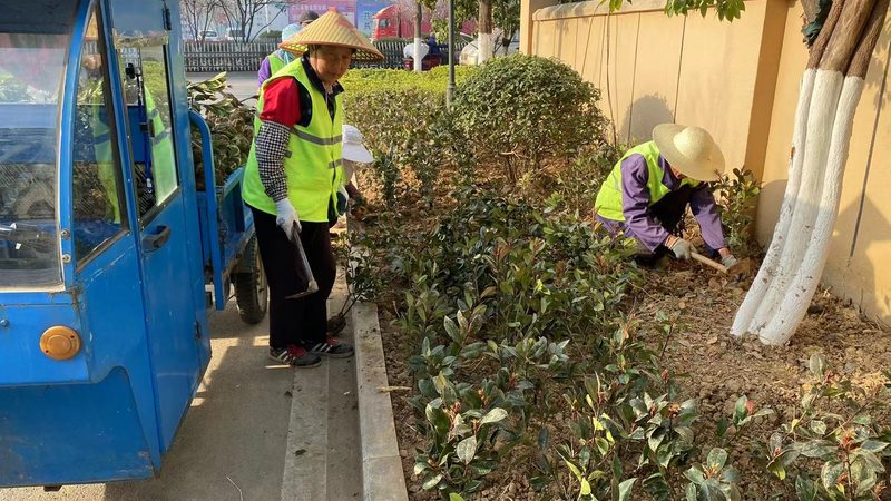 市政绿化与园林绿化对草坪的要求区别