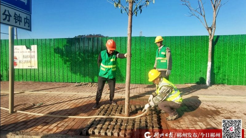 别墅垂直绿化墙材质选择：如何打造生态美学空间