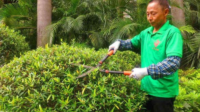 屋顶绿化，如何确保施工规范与验收达标？**
