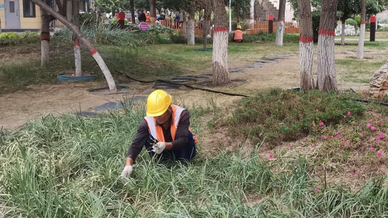 立体绿化墙的基质选择：岩棉为何不再是唯一答案