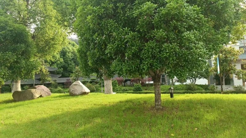 垂直绿化设计规范：构建绿色城市的秘密武器
