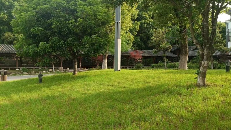 北京苗木种植深度执行标准：深度解析与实施要点