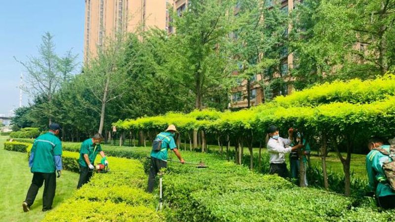 屋顶绿化灌溉系统过滤器参数揭秘**